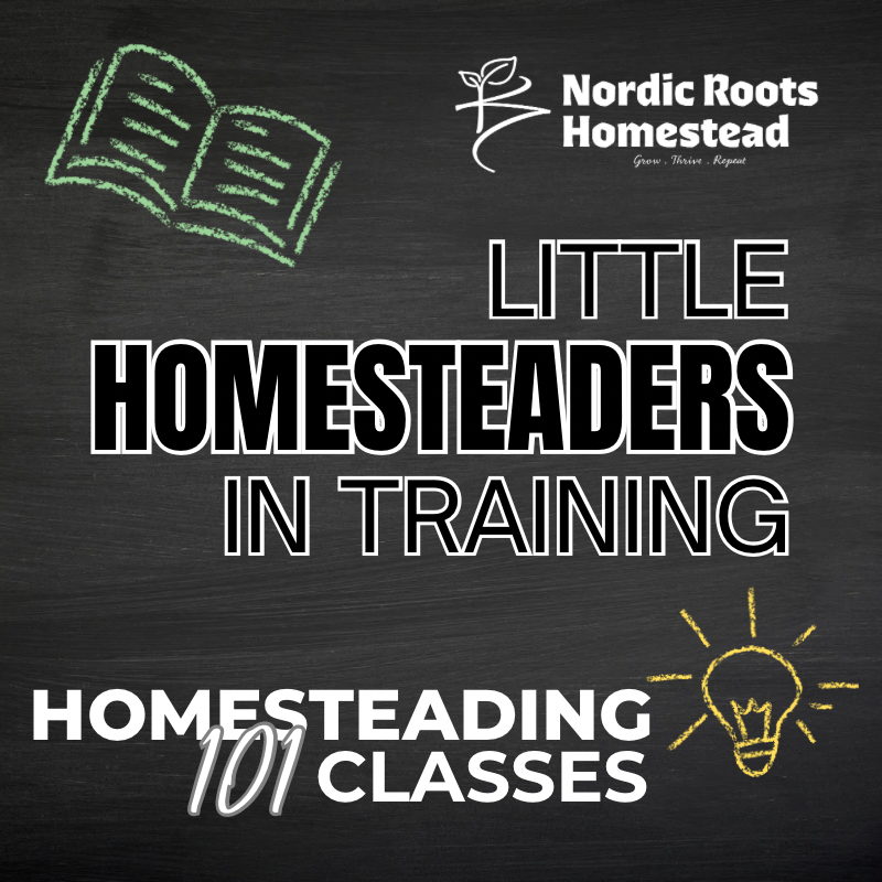 Little Homesteaders in Training