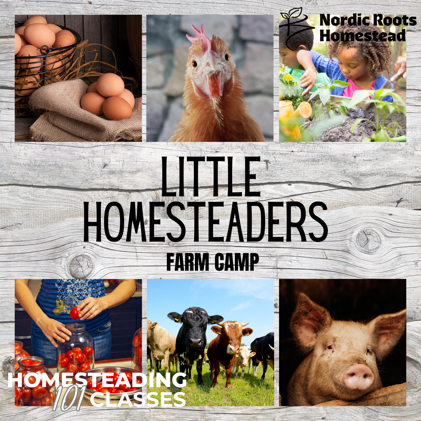 Little Homesteaders Farm Camp